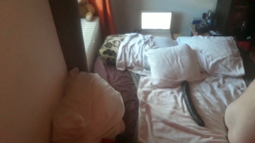 SkyJt2351979  17-07-2021 Recorded Video XXX
